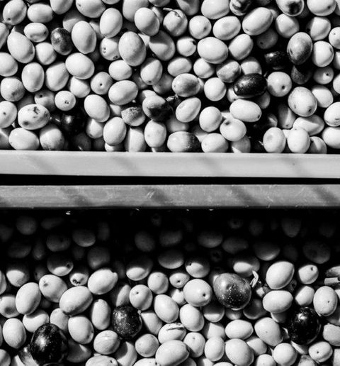 531108_10151308521198278_1299461526_n